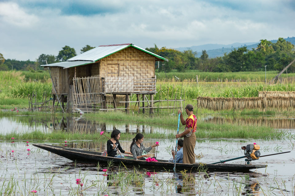 “Picking Water Lillies” by Neil Cordell