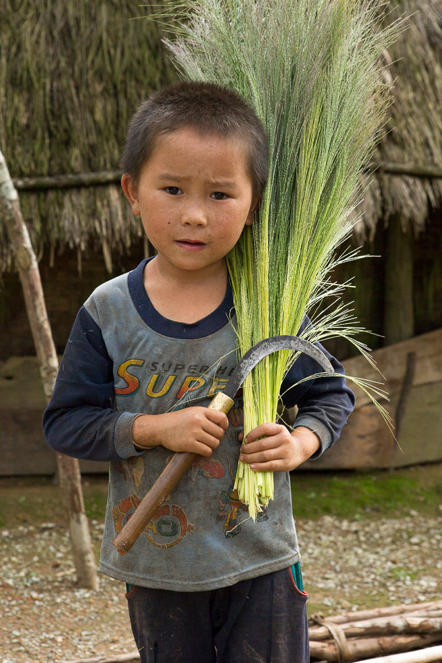 “Lao boy with Sickle and Rice” by Neil Cordell