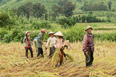 NSC-2012-11-25-Laos-Vietnam-01366.jpg